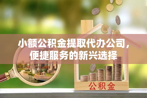 暖暖小额公积金提取代办公司，便捷服务的新兴选择