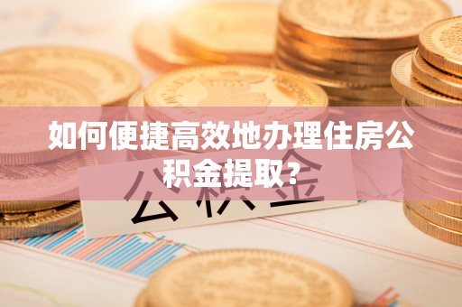 暖暖如何便捷高效地办理住房公积金提取？