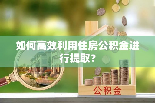 暖暖如何高效利用住房公积金进行提取？