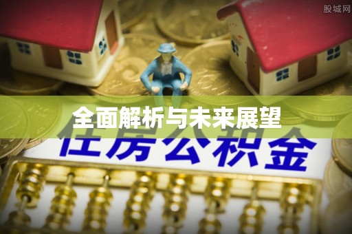 暖暖全面解析与未来展望