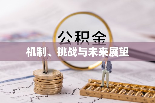 暖暖机制、挑战与未来展望