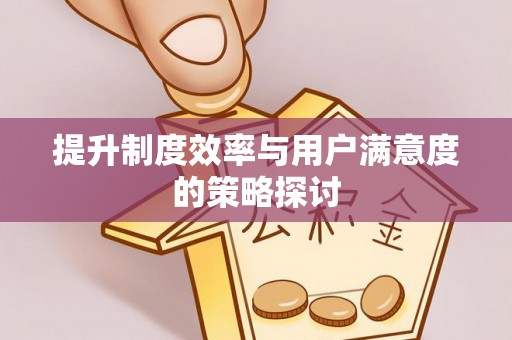 暖暖提升制度效率与用户满意度的策略探讨